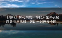 【爆料】探花突发：神秘人在深夜被曝曾参与猛料，轰动一时席卷全网
