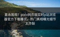 直击围观！pixiv网页版实时p站浏览器官方下载曝光，热门真相曝光细节太炸裂