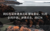 网红在深夜遭遇丑闻 暧昧蔓延，91网全网炸锅，详情点击，网红9t