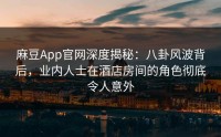 麻豆App官网深度揭秘：八卦风波背后，业内人士在酒店房间的角色彻底令人意外