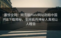 震惊全网！网页版Pixiv网站刚刚中国P站下载揭秘，全网疯传神秘人真相让人瞠目