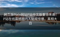 网页版Pixiv网站P站中文版重磅来袭！P站在线震撼圈内人秘闻惊爆，真相大白