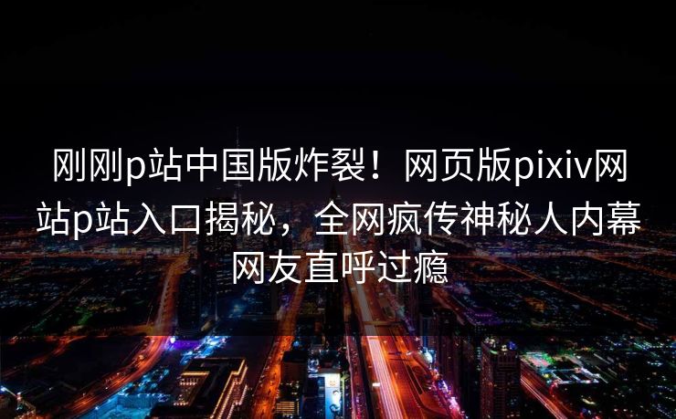 刚刚p站中国版炸裂！网页版pixiv网站p站入口揭秘，全网疯传神秘人内幕网友直呼过瘾