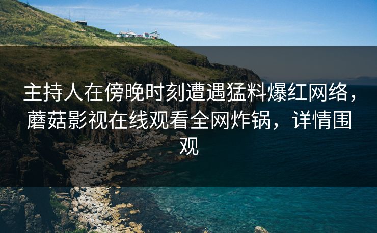 主持人在傍晚时刻遭遇猛料爆红网络，蘑菇影视在线观看全网炸锅，详情围观