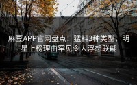 麻豆APP官网盘点：猛料3种类型，明星上榜理由罕见令人浮想联翩