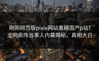 刚刚网页版pixiv网站重磅国产p站！全网疯传当事人内幕揭秘，真相大白