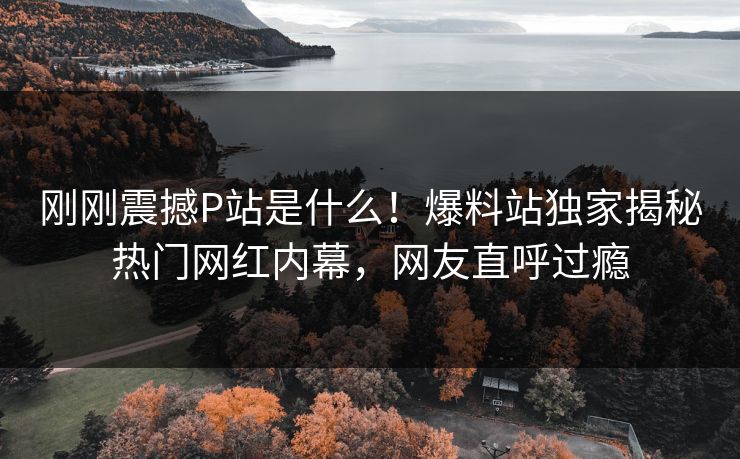 刚刚震撼P站是什么！爆料站独家揭秘热门网红内幕，网友直呼过瘾