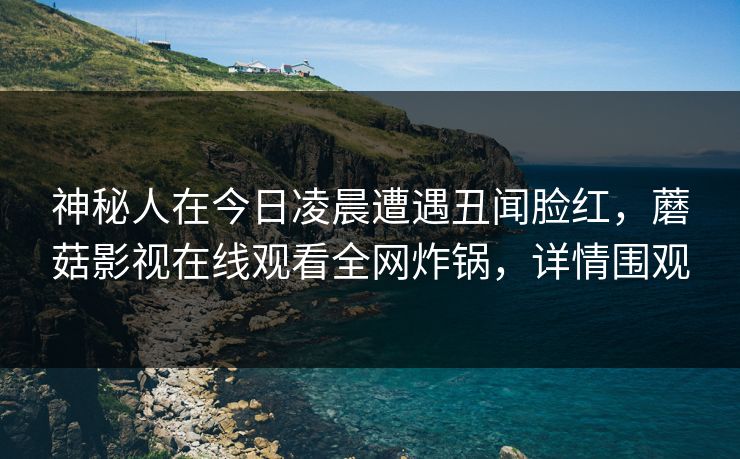 神秘人在今日凌晨遭遇丑闻脸红，蘑菇影视在线观看全网炸锅，详情围观