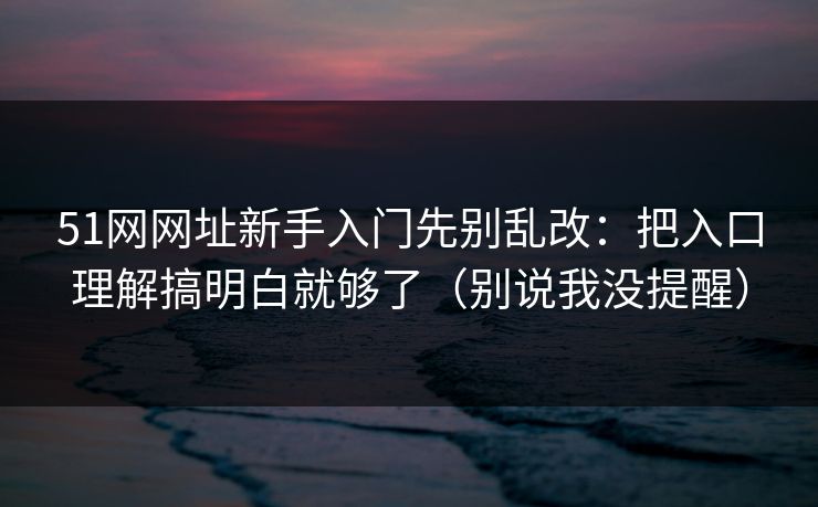 51网网址新手入门先别乱改：把入口理解搞明白就够了（别说我没提醒）